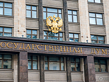 "Эффект Долиной" заинтересовал депутатов Госдумы РФ