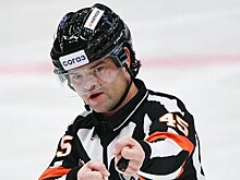 Арбитр Роман Гофман проведет сезон-2022/23 в чемпионате Германии