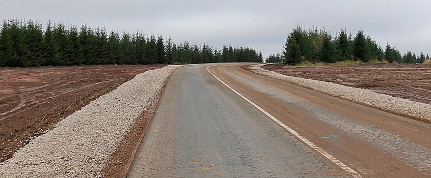 Дорогу до границы с Кировской областью достроят в Удмуртии в 2020 году