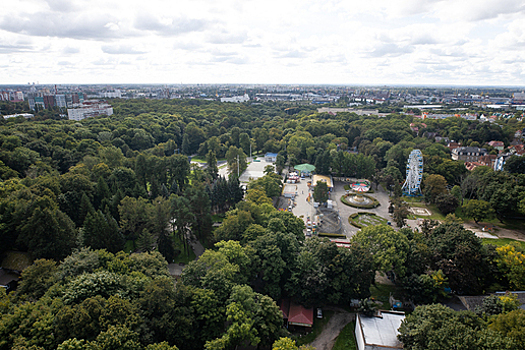 В Калининграде планируют благоустроить сквер на Каштановой аллее, власти будут привлекать инвестора