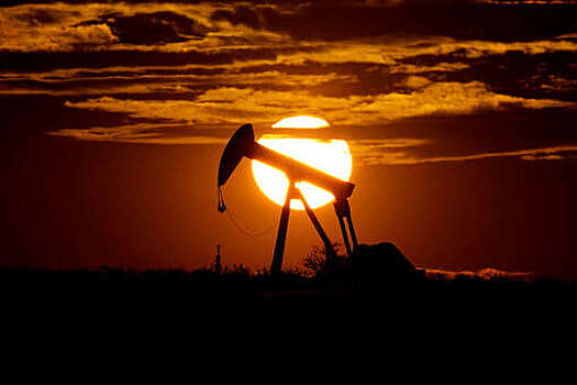 Новак и бен Сальман обсудили ситуацию на рынке нефти и сделку ОПЕК+