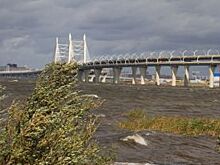 Остров невезения? С какими проблемами борются жители «Канонерки»