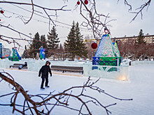 Поклонники фигурного катания не испугались лютых морозов в Новосибирске