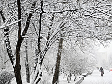 Климатолог рассказал о причинах выпадения снега в мае