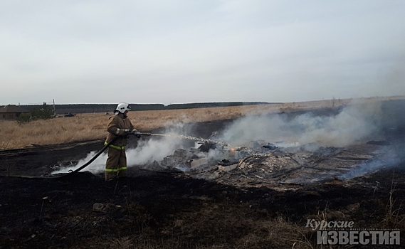 В Курской области за сутки произошло 160 палов сухой травы