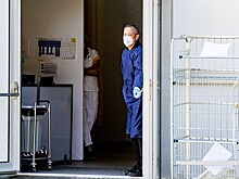 Повторные заражения COVID-19 выявлены в Нидерландах и Бельгии