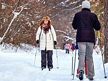 Кататься на лыжах жители Бибирева могут в лесу
