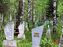 В Ишиме ищут виновного в погроме на городском кладбище: «Лось следы заметал»