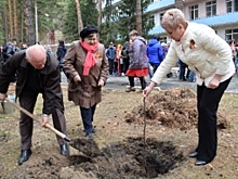 73 липы. Ямальцы в Кургане высадили аллею Победы