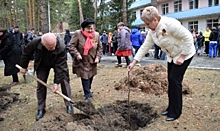 73 липы. Ямальцы в Кургане высадили аллею Победы