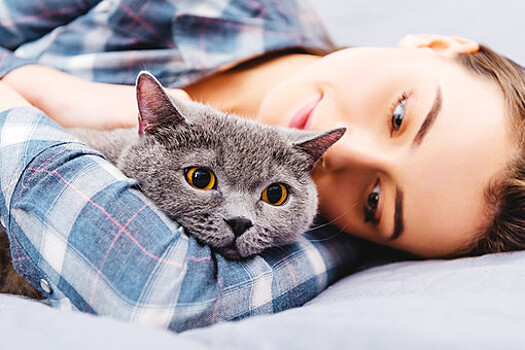 Ученые связали развитие психозов с кошками