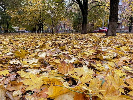 От +9 &deg;С утром до +17 &deg;С днем: как будет меняться температура в Ростове в воскресенье