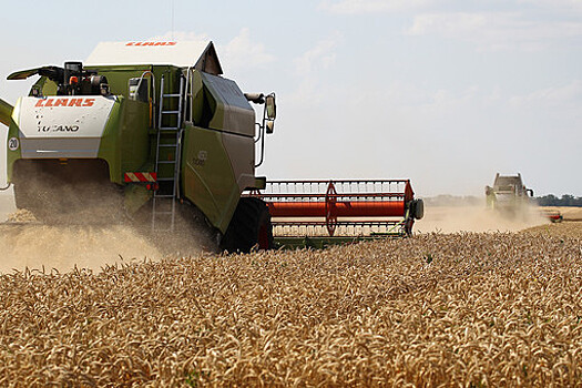 Россия экспортировала рекордное количество зерна