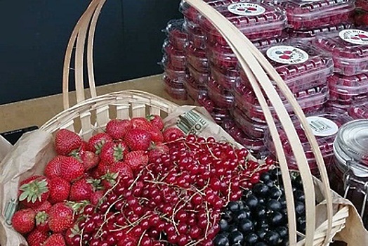 3 производства ягод планируют открыть в Подмосковье до конца года