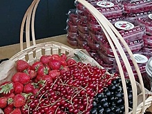 3 производства ягод планируют открыть в Подмосковье до конца года