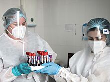 В РФ начнут выдавать справки об антителах к COVID-19