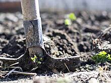 Дачный эксперт предупредила об опасности азотных удобрений