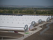 Новый свиноводческий комплекс АГРОЭКО увеличит производство на 8,2 тыс тонн свинины в год