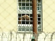 Саакашвили показал «сердечко» своим сторонникам из окна тюрьмы