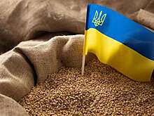 Варшава и Киев продолжают спорить о поставках украинского зерна в Польшу