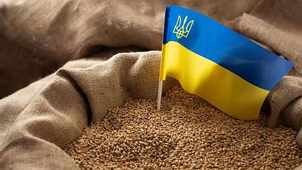 Варшава и Киев продолжают спорить о поставках украинского зерна в Польшу