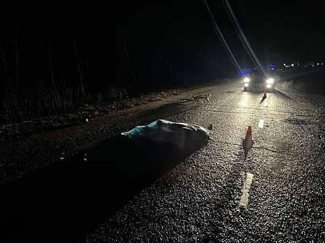 В ДТП в Оренбургском районе погиб 57-летний пешеход