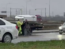 В Петербурге на видео сняли драку водителей на проезжей части