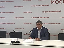 Черемисов назвал выборы на пост губернатора Московской области хорошо организованными