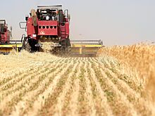 В России предупредили о потере части урожая