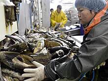 РРПК регистрирует новый бренд для своей рыбной продукции