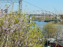 Александр Скрябин поздравил ростовчан с днем основания Железнодорожного района города