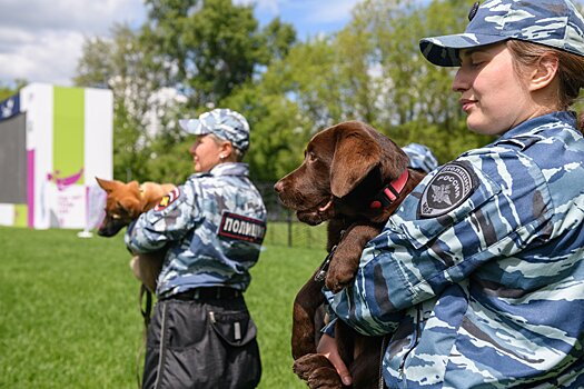 В Миллерово проходит марафон летнего чтения «Азбука профессий»