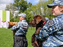 В Миллерово проходит марафон летнего чтения «Азбука профессий»