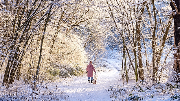 Врач порекомендовала сократить прогулки в морозную погоду