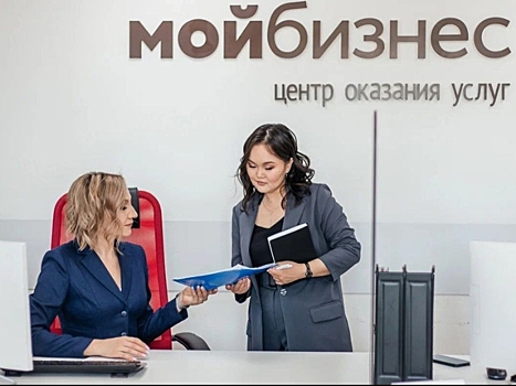 ​Самозанятые в Забайкалье заработали 8 миллиардов рублей