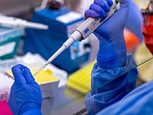 Ученые выявили закономерность появления новых коронавирусов