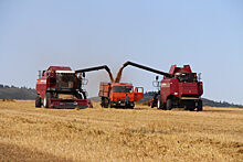 В Сибири соберут 14,5 млн тонн зерновых