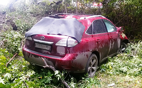 Автоледи на «Лексусе» снесла два дерева и пешехода