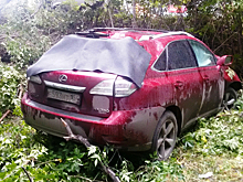 Автоледи на «Лексусе» снесла два дерева и пешехода