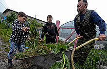 Снесем сами. Чем закончится скандальное «дело дачников»?