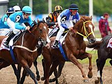 В Казани прошли скачки, на которых разыграли 2,6 млн рублей