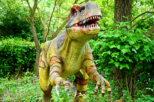 В центре Благовещенска планируют открыть бесплатный интерактивный парк динозавров