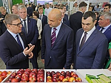 Аграрии Южного Урала при поддержке региона внедряют новые технологии