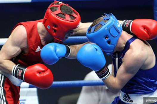 Псковские боксеры стали победителями и призерами на двух соревнованиях