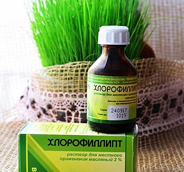 Хлорофиллипт масляный: инструкция по применению, состав