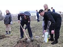 Росгвардия высаживает кедры в рамках акции памяти