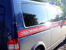 Возбуждено второе дело после нападения коллекторов на семью под Новосибирском