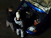 Омичи справили нужду под капот припаркованного авто и попали на видео