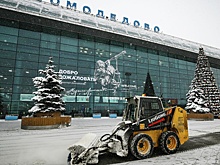 Стал известен новый владелец Домодедово