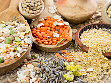 Диетолог: От мяса отказаться можно. Вопрос – нужно ли?